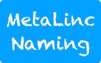 2018116 MetaLinc Naming 200X125