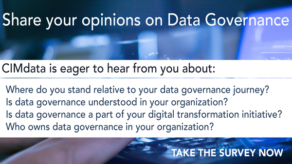 Data_Governance_Survey_2022