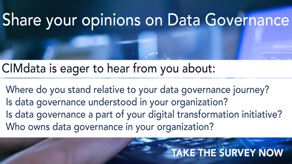 Data_Governance_Survey_2022